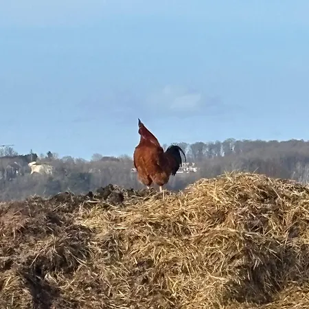 Apartment La Champoternoise *
